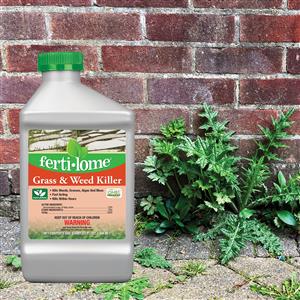 16103 Grass & Weed Killer 32 oz  lifestyle image